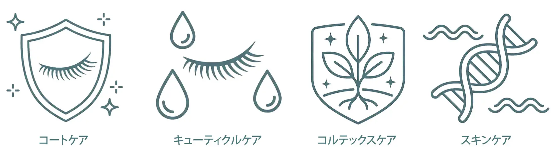 4つのラッシュケアテックアイコン