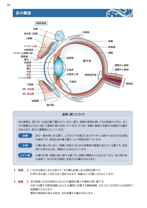 まつげエクステ技術者養成基礎講座 Ver 7 0 まつげエクステ技術者養成基礎講座 Ver 7 0