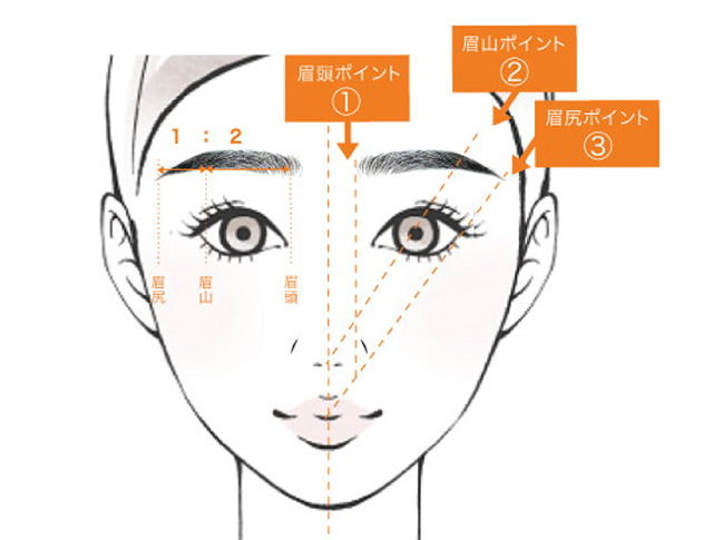 眉頭・眉山・眉尻の位置
