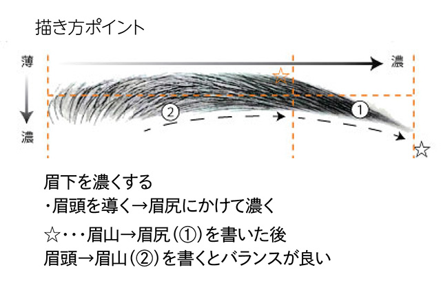 描き方ポイント