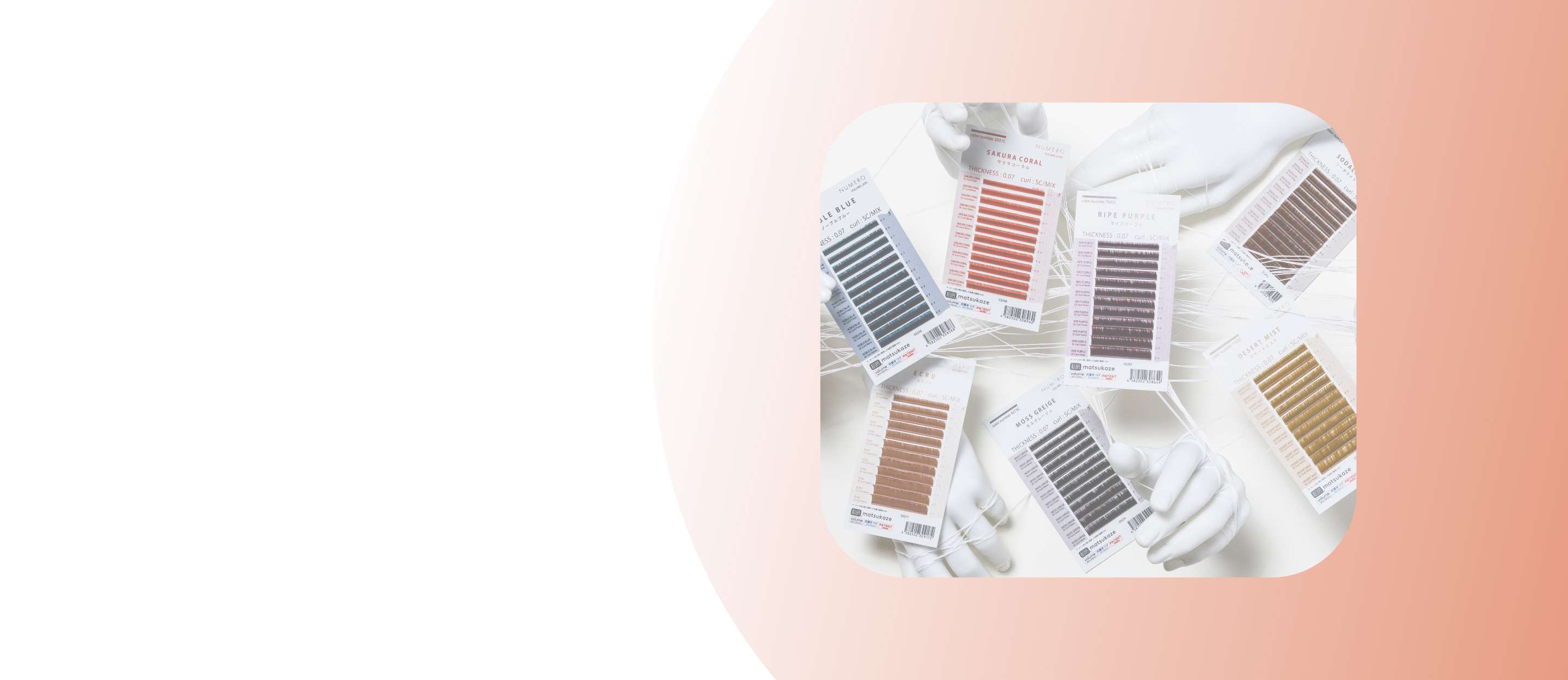 NUMERO COLOR ARTISTセミナーのメイン画像